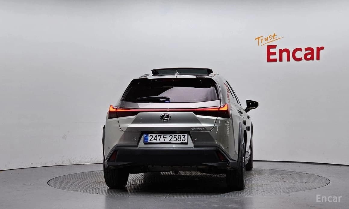 Lexus UX300h 2.0 2WD