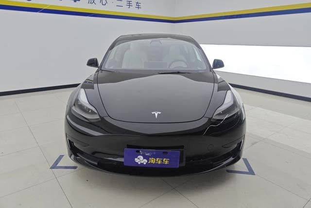 Tesla Model 3 D6