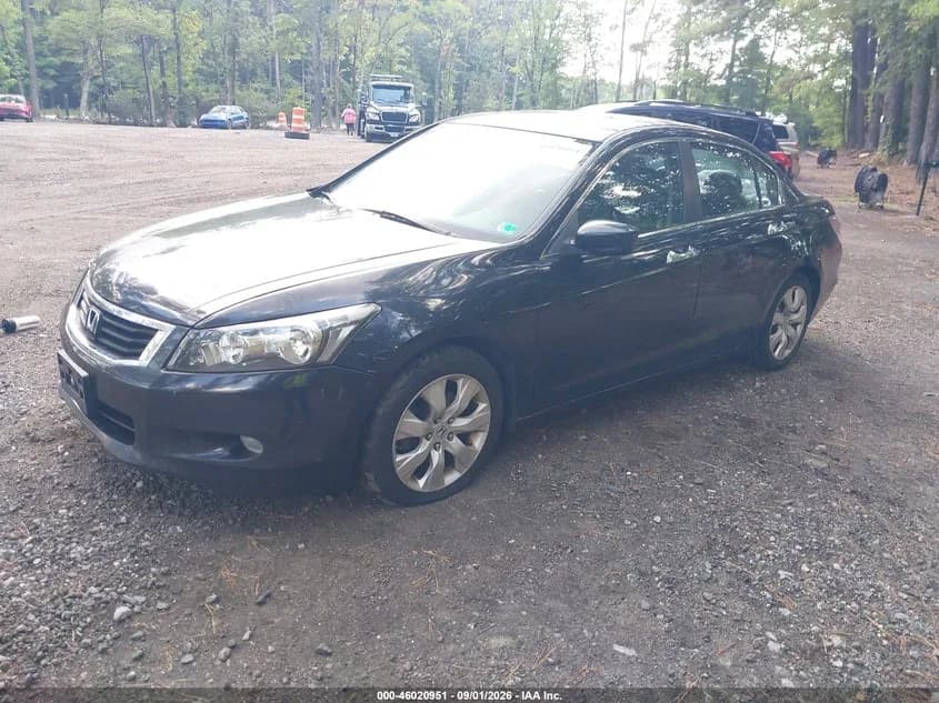 Honda Accord 3.5 Ex-L