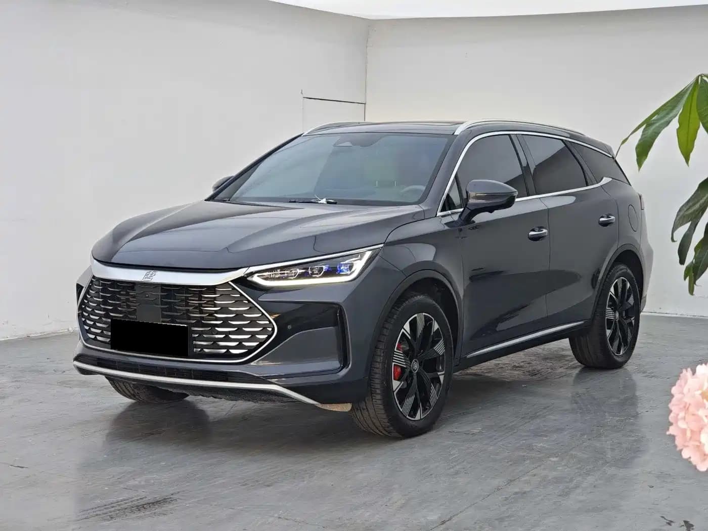 BYD Tang New Energy 2024 DM-p Glory Edition 215KM AWD Premium