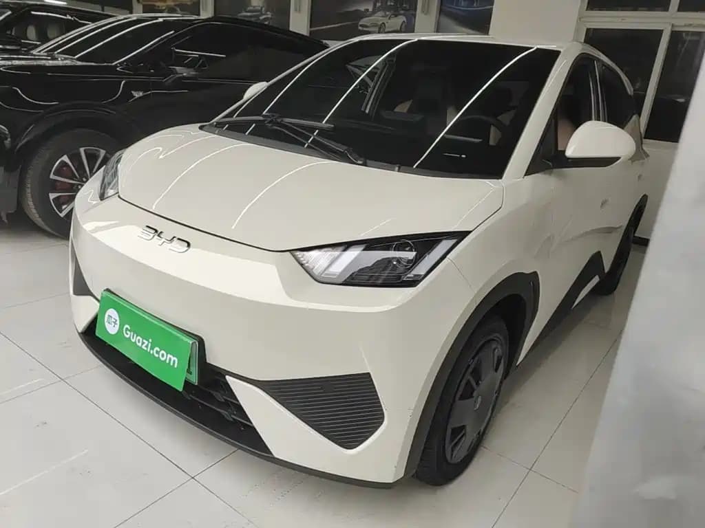 BYD Seagull 2025 Smart Drive Edition 305km Vitality Version