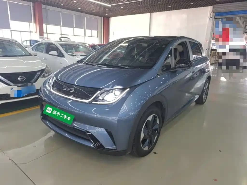 BYD Dolphin 2025 420km Freedom Edition