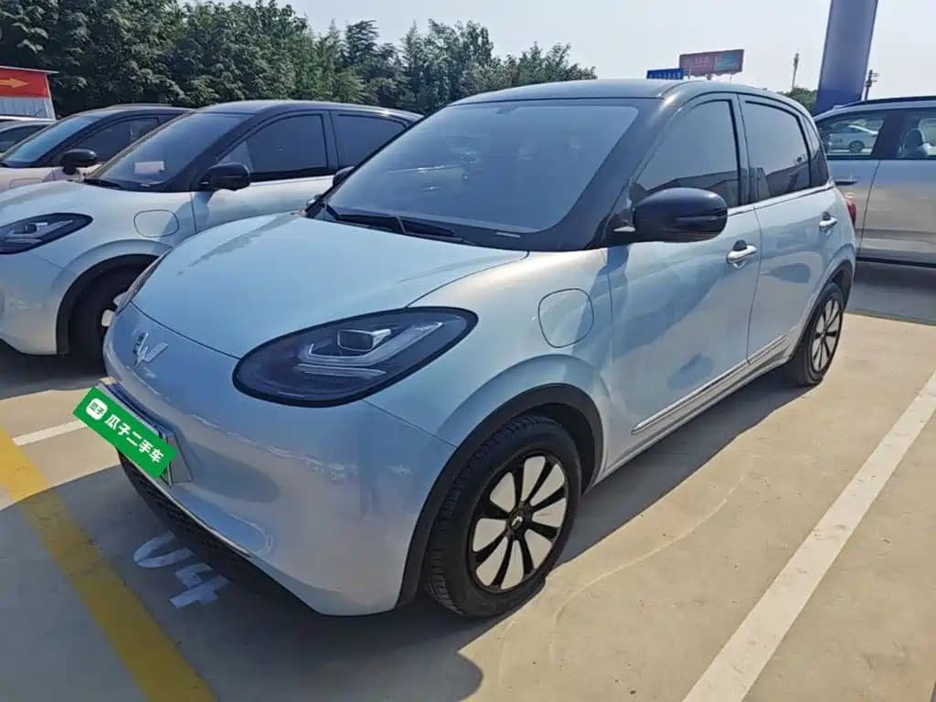Wuling Motors Binguo Wuling Bingo 2024 333km Comfort Edition