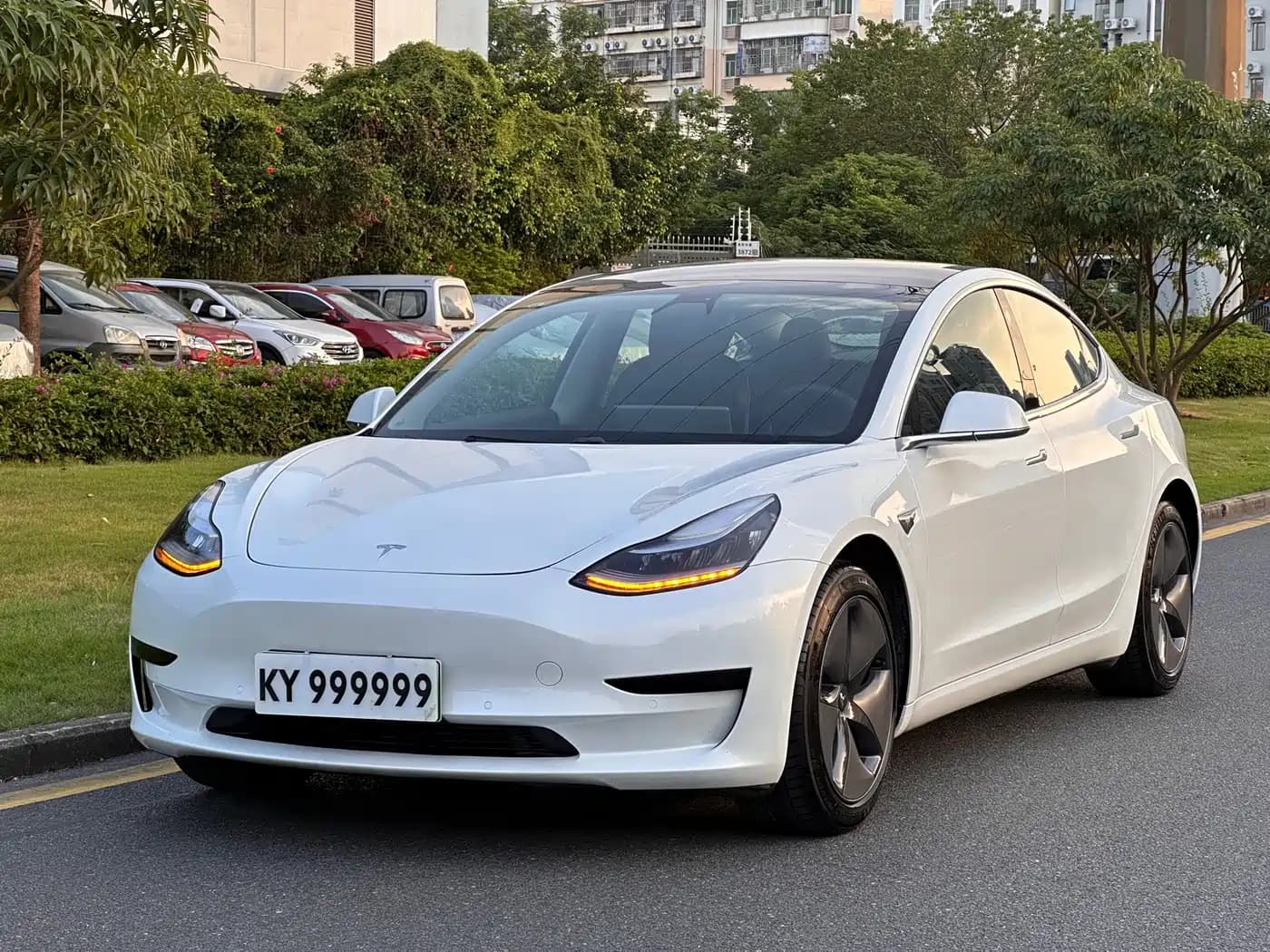 Tesla Model 3 (Import) 2019 Standard Range RWD Upgraded Edition