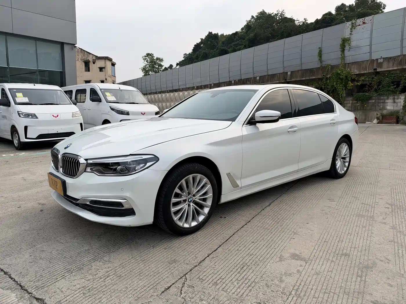 BMW BMW 5 Series 2020 530Li Leading Luxury Package