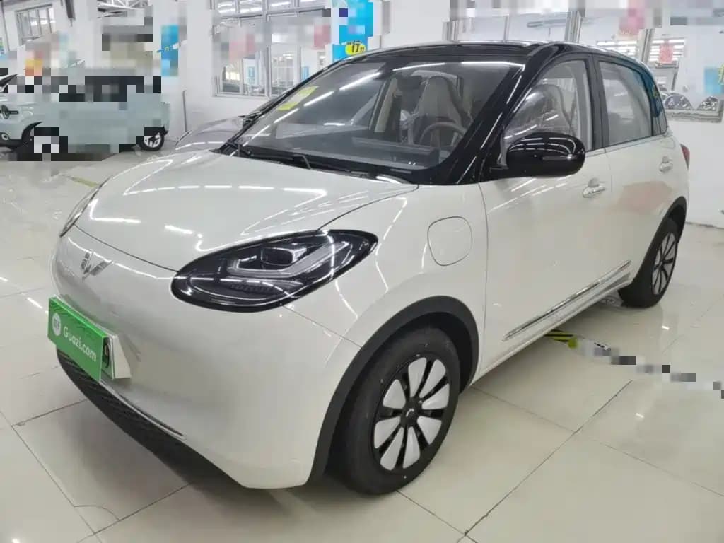 Wuling Motors Binguo Wuling Bingo 2025 Model 333km Joy Edition