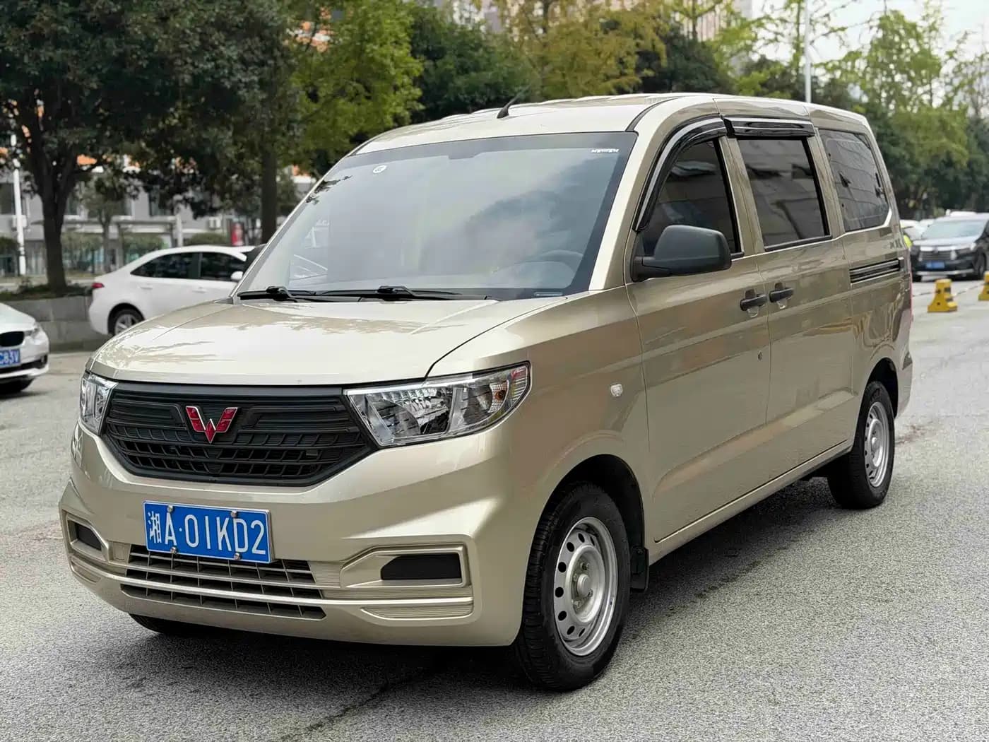 Wuling Motors Hongguang Wuling V 2022 1.5L Power Take Edition Electric Power Steering LAR