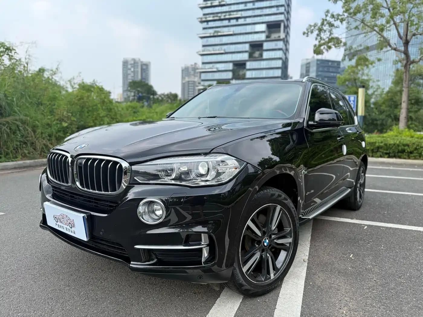 BMW BMW X5 (Import) 2017 xDrive35i Elegance