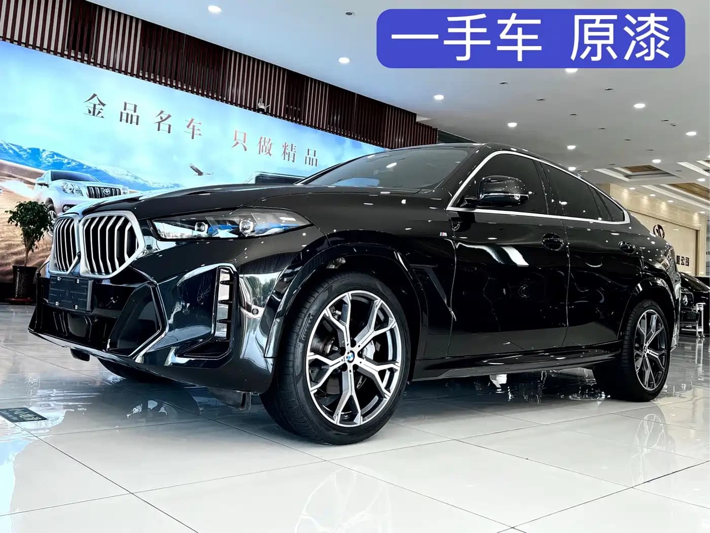 BMW X6 2023 xDrive40i M Sport Package