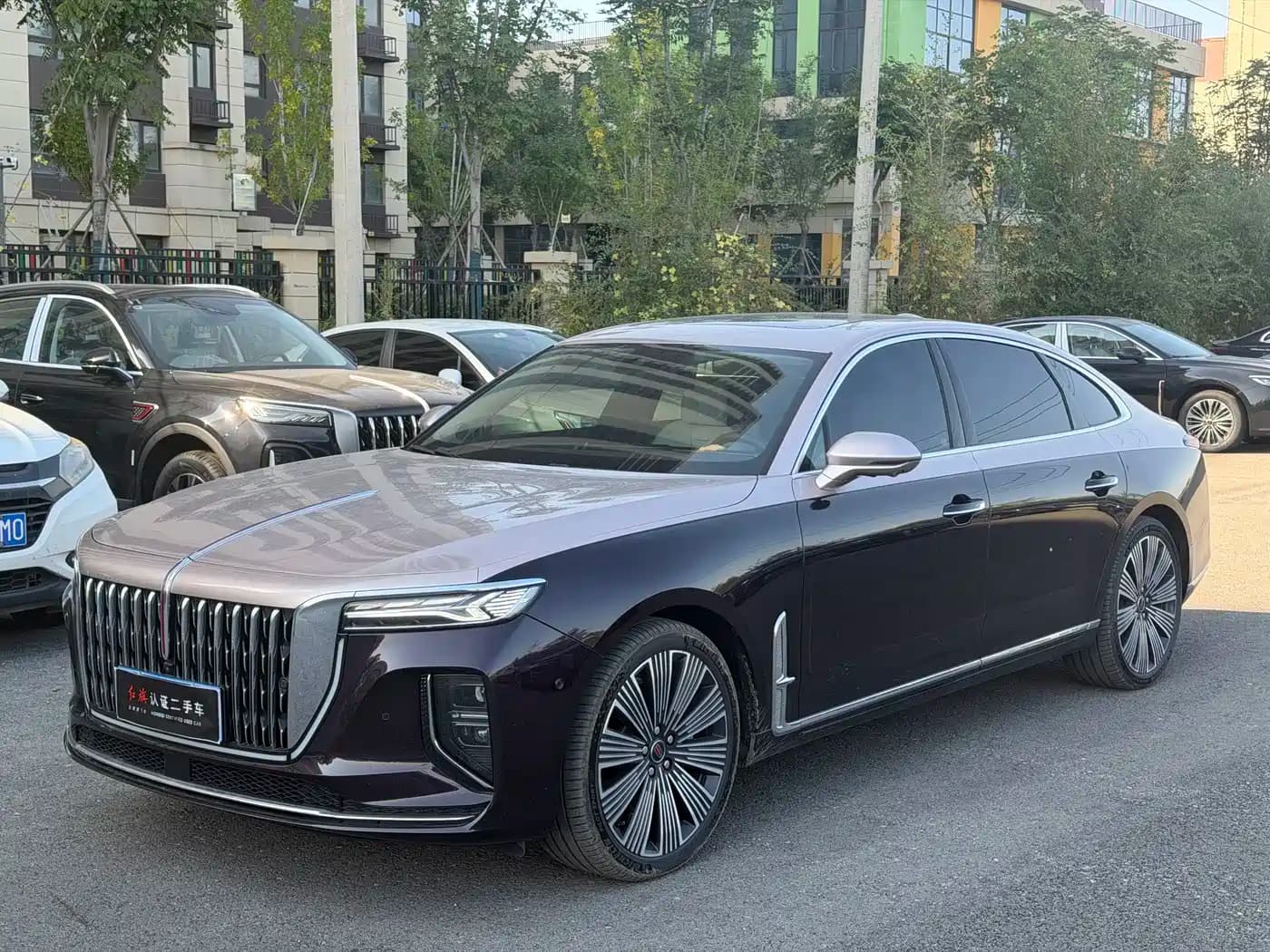 Hongqi H9 2025 2.0T 2WD Qichang Luxury Business Edition 5-seater
