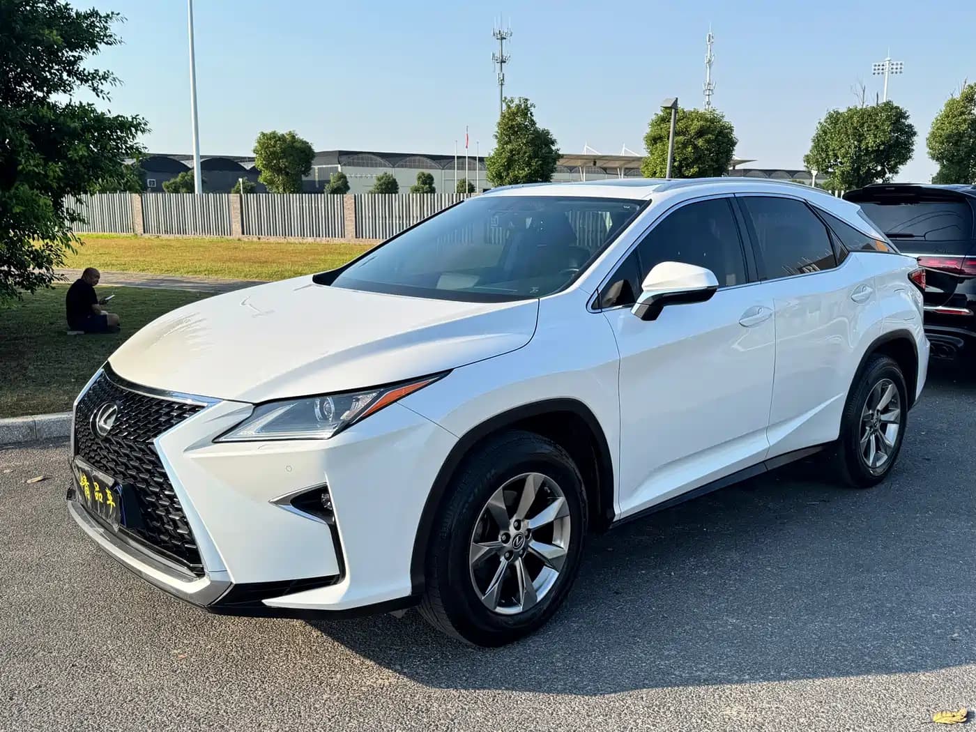 Lexus RX Lexus RX 2016 300 2WD Comfort Edition China V