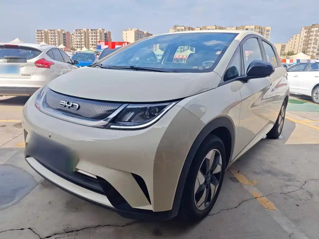 BYD Dolphin 2025 420km Freedom Edition