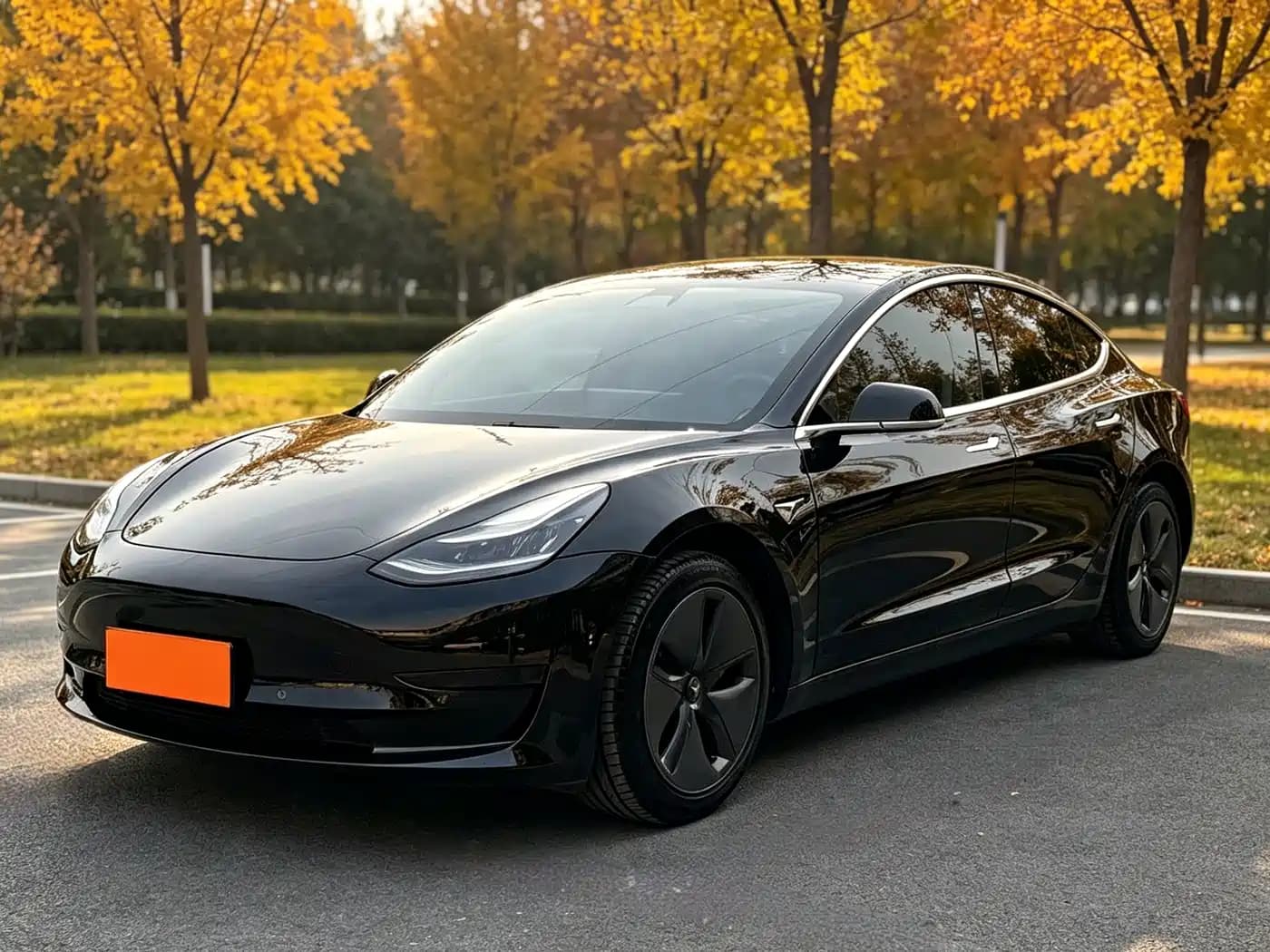 Tesla Model 3 2020 Standard Range Rear-Wheel Drive Upgrade
