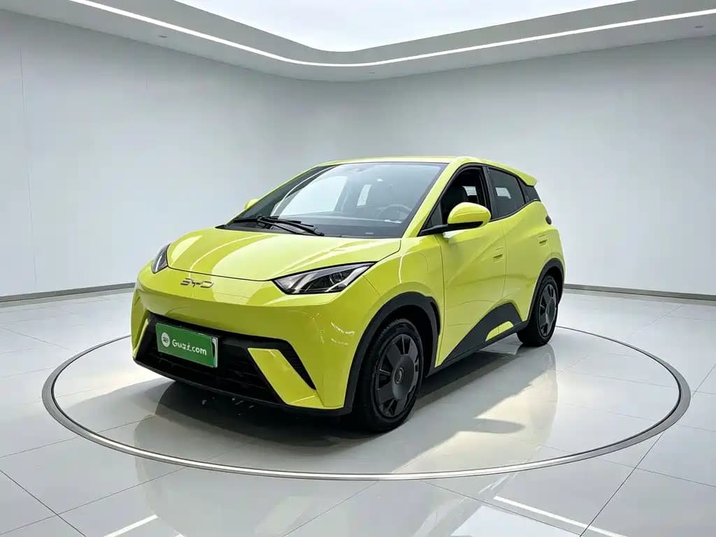 BYD Seagull 2024 Glory Edition 305km Vitality Edition