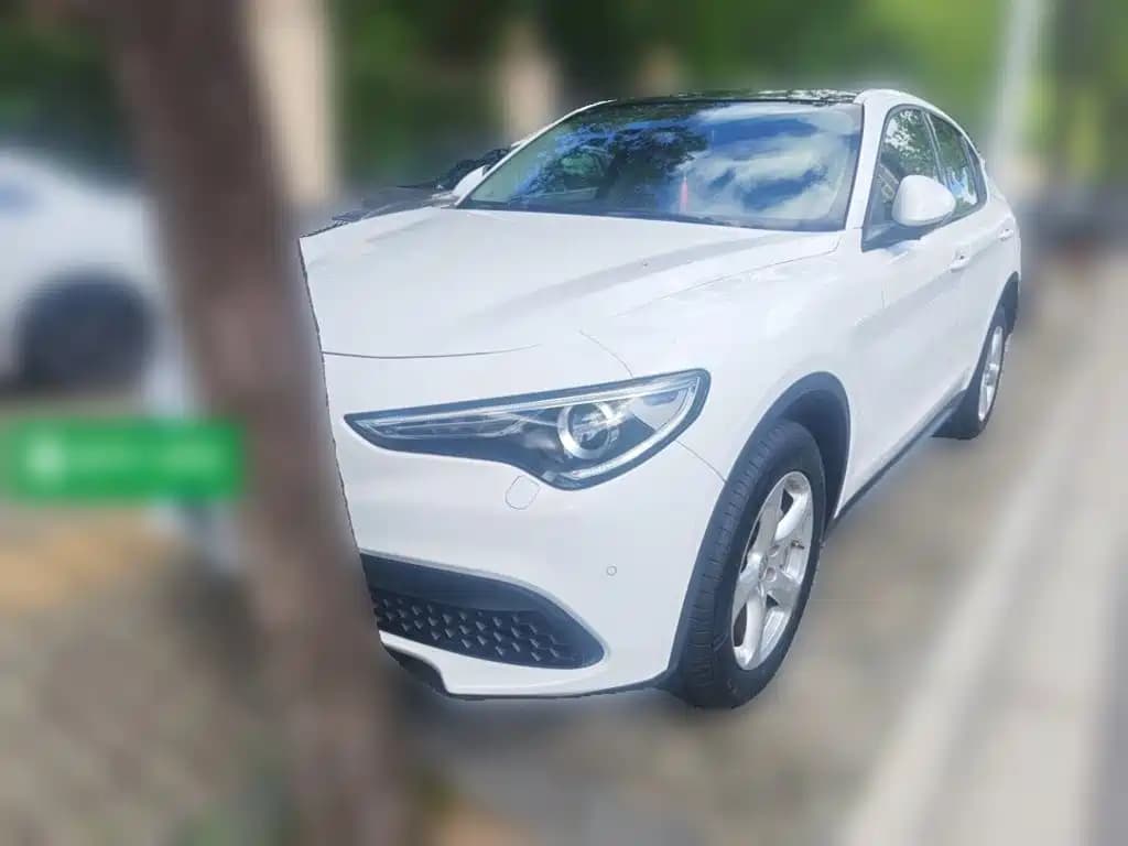 Alfa Romeo Stelvio 2017 2.0T 200HP Elite