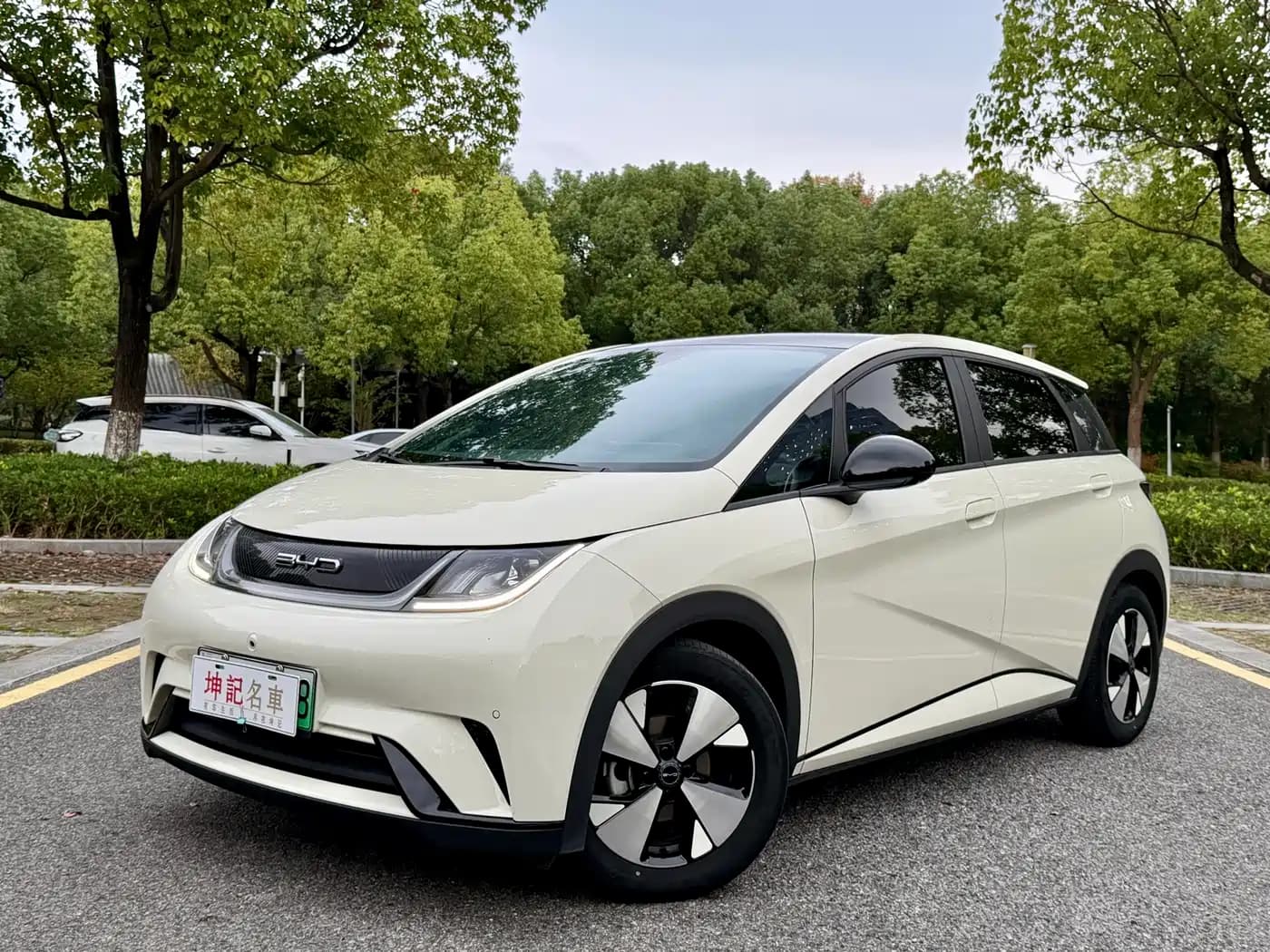 BYD Dolphin 2023 420km Fashion Edition