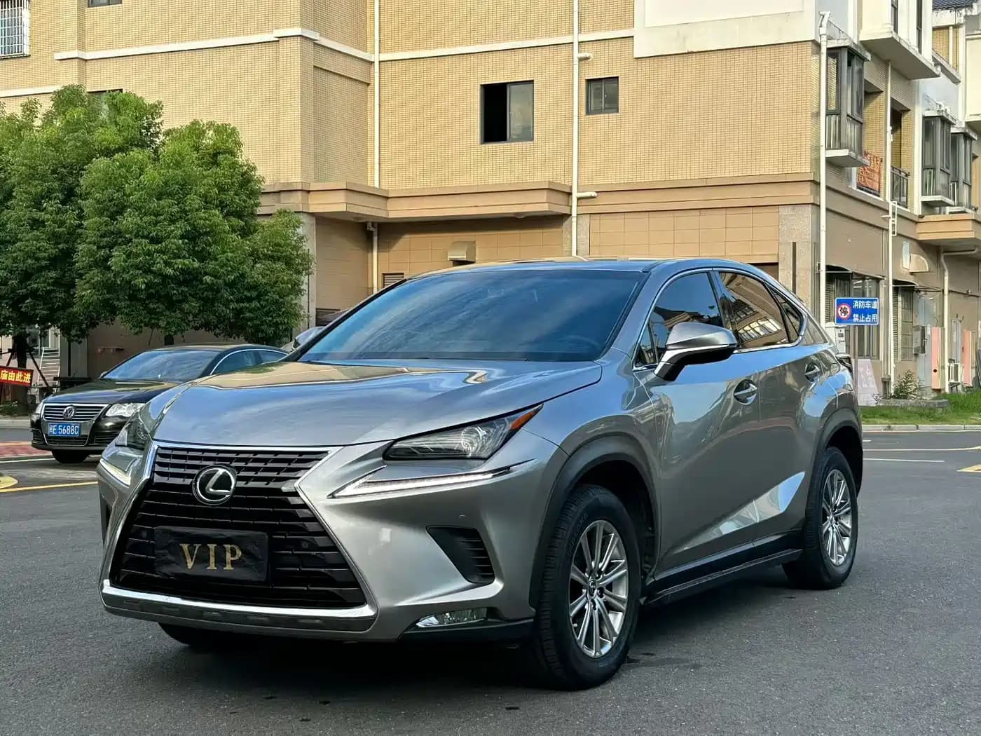 Lexus NX 2018 Model 200 FWD Fengxing Edition China V