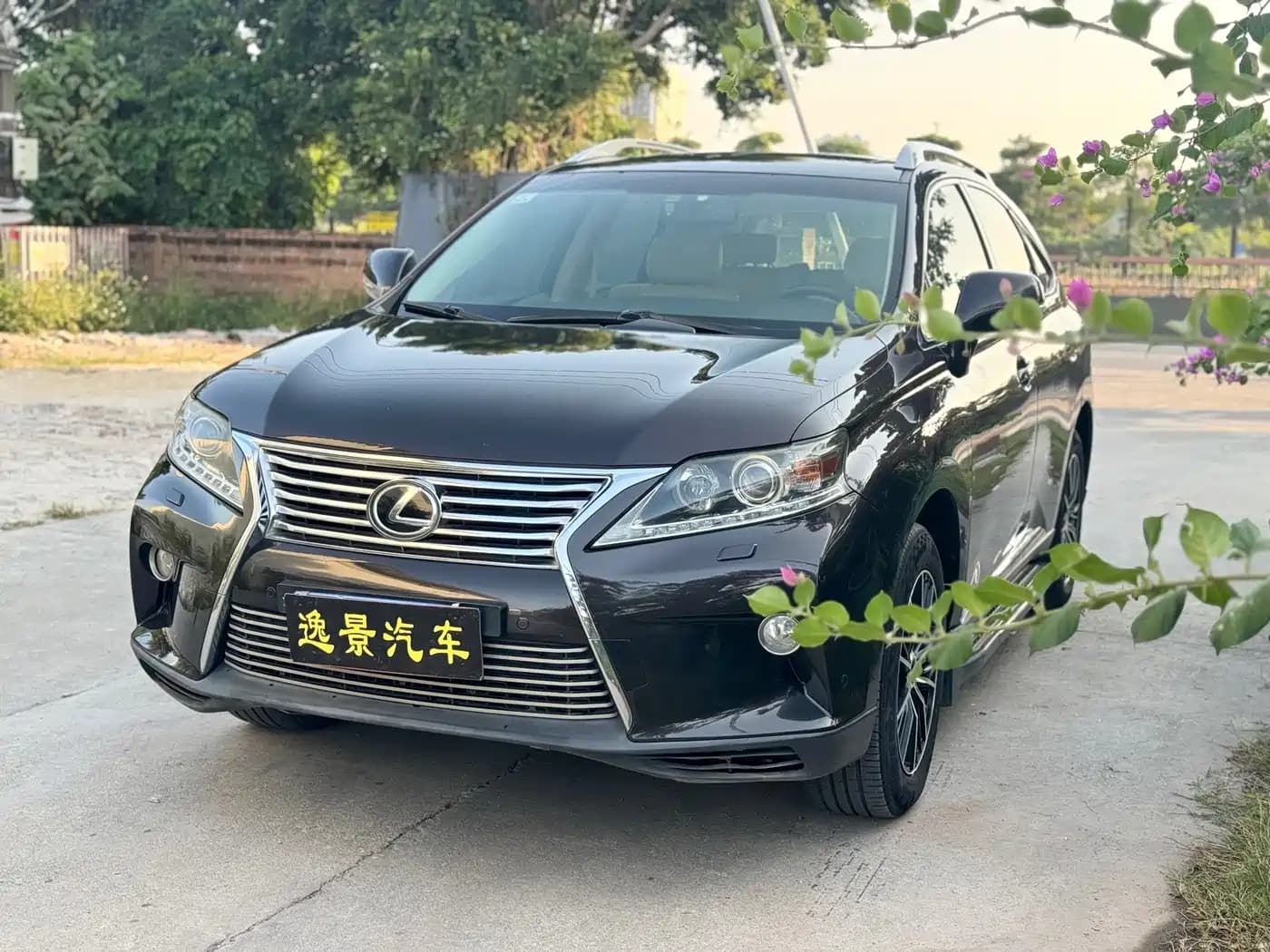 Lexus RX Classic 2013 270 Elite