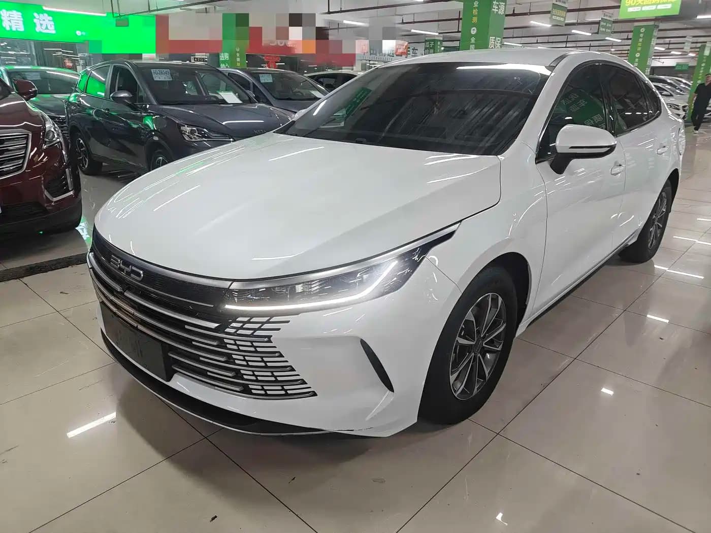 BYD Destroyer 05 2024 Glory Edition DM-i 55KM Luxury