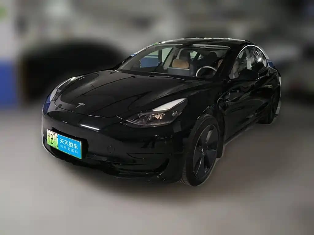 Tesla Model 3 2021 Facelift Standard Range RWD Upgrade 3D1