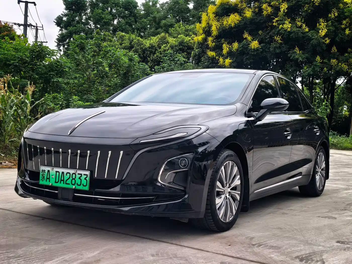 Hongqi E-QM5 2023 560km PLUS