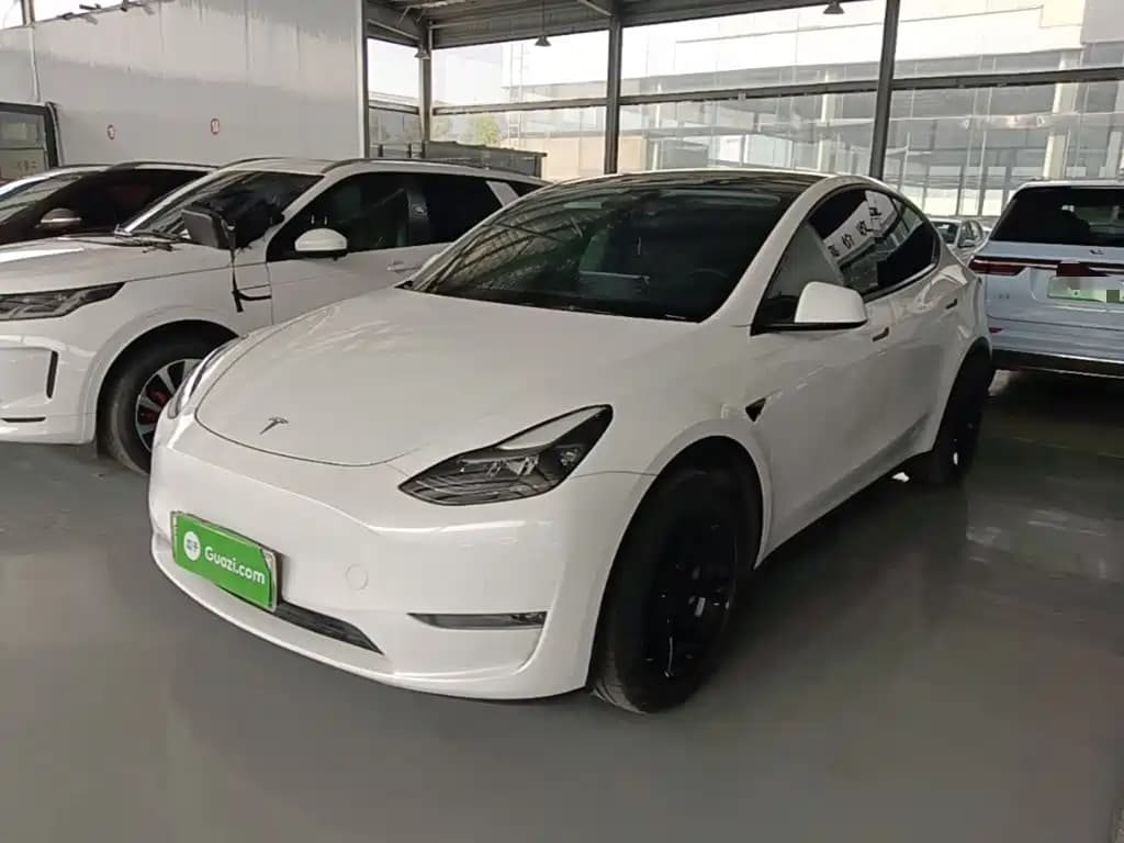 Tesla Model Y 2021 Standard Range Rear-Wheel Drive