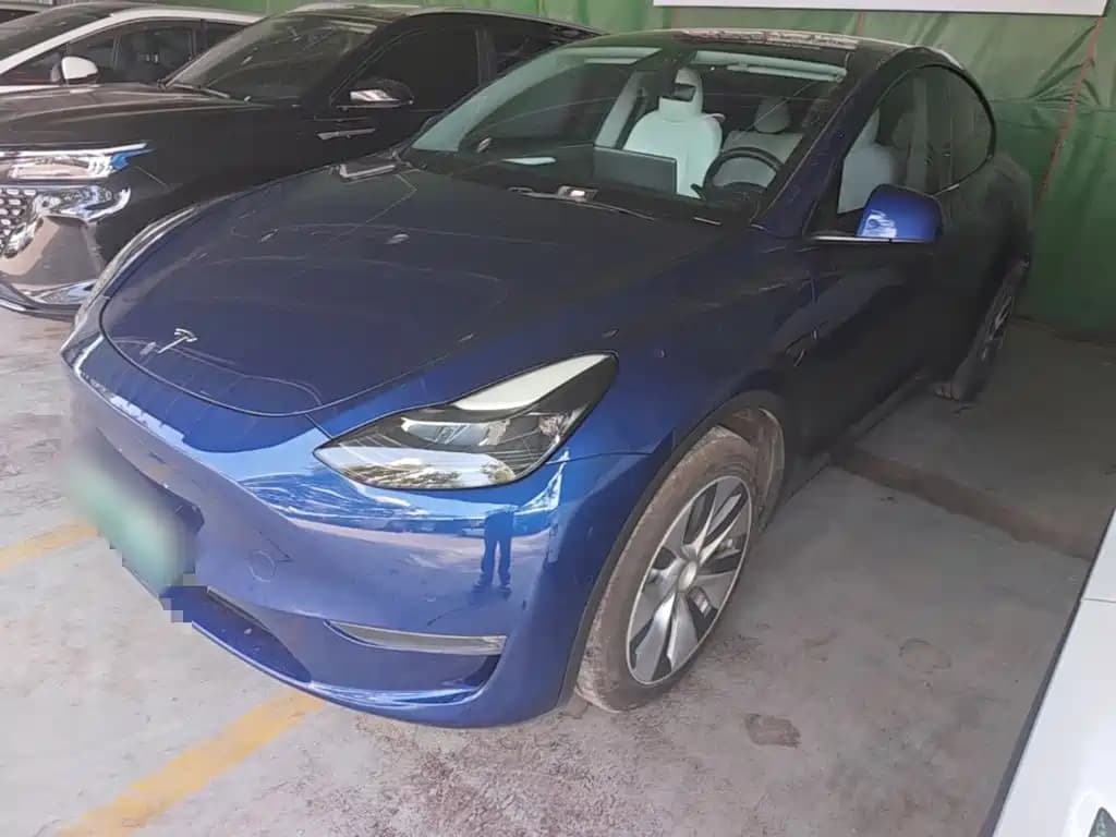Tesla Model Y 2021 Long Range All-Wheel Drive 3D7