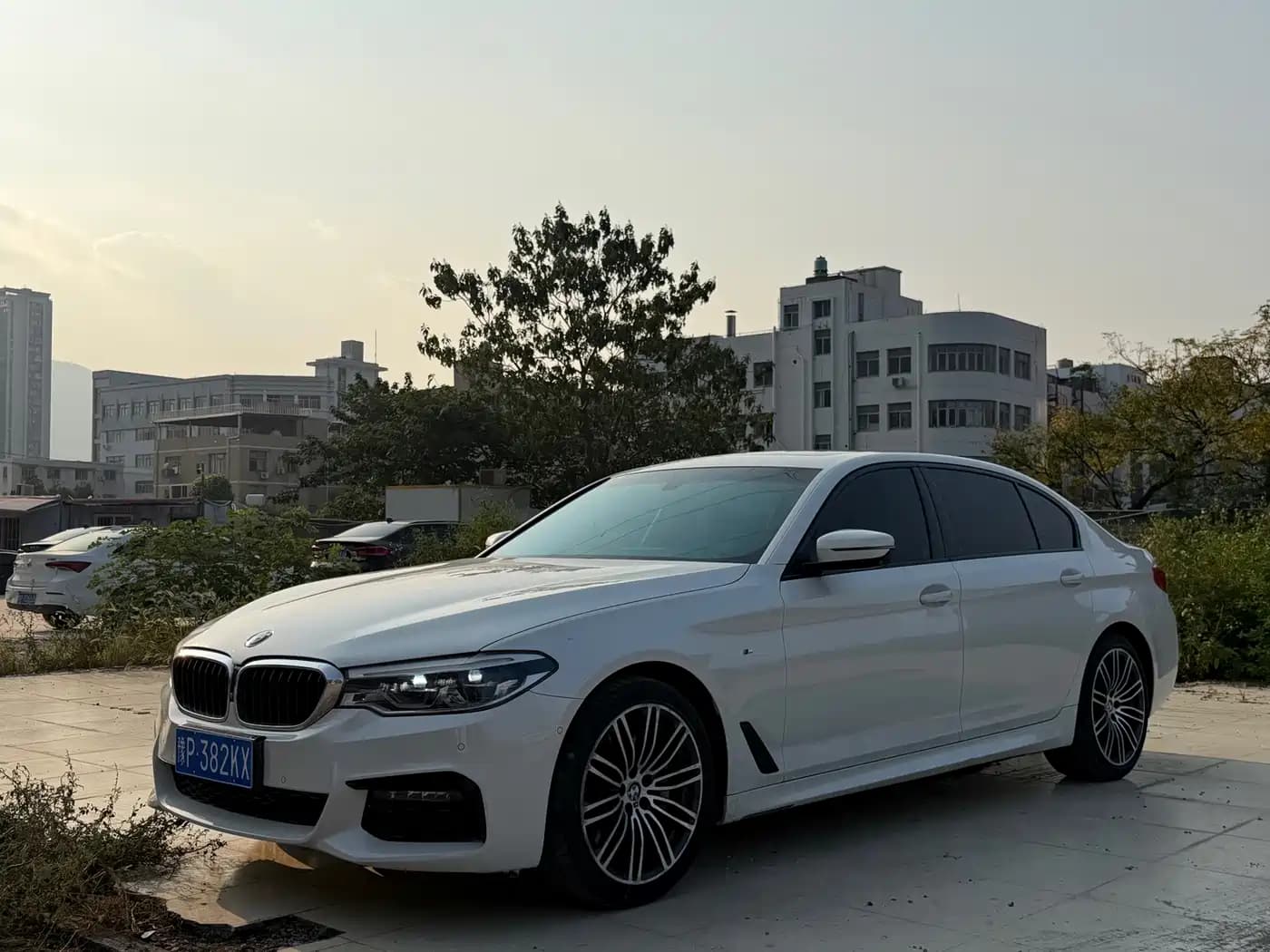 BMW 5 Series 2019 530Li Premium M Sport Package