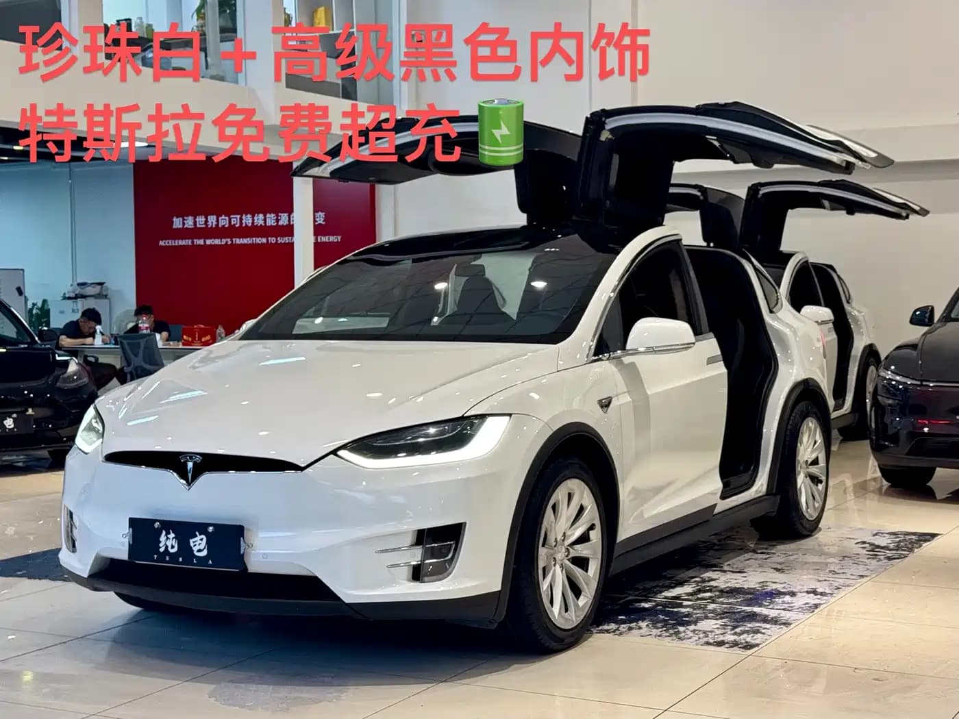 Tesla Model X 2016 75D