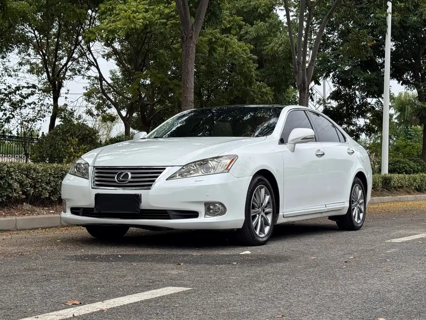 Lexus ES Lexus ES 2010 350 Luxury Edition
