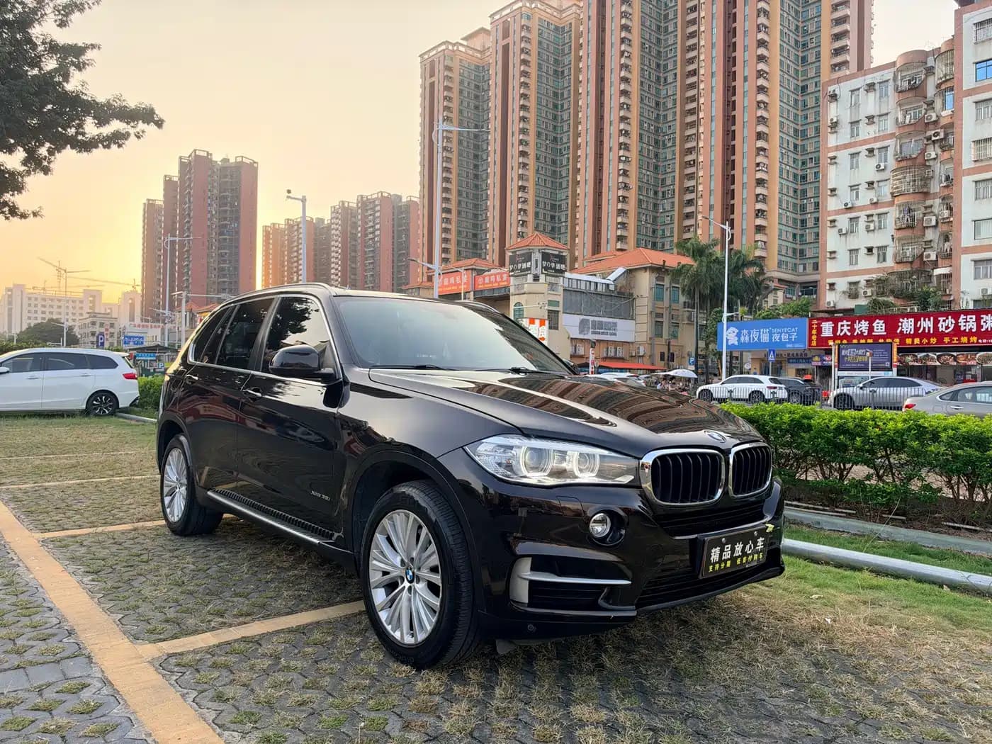 BMW X5 (Import) 2014 xDrive35i Leading