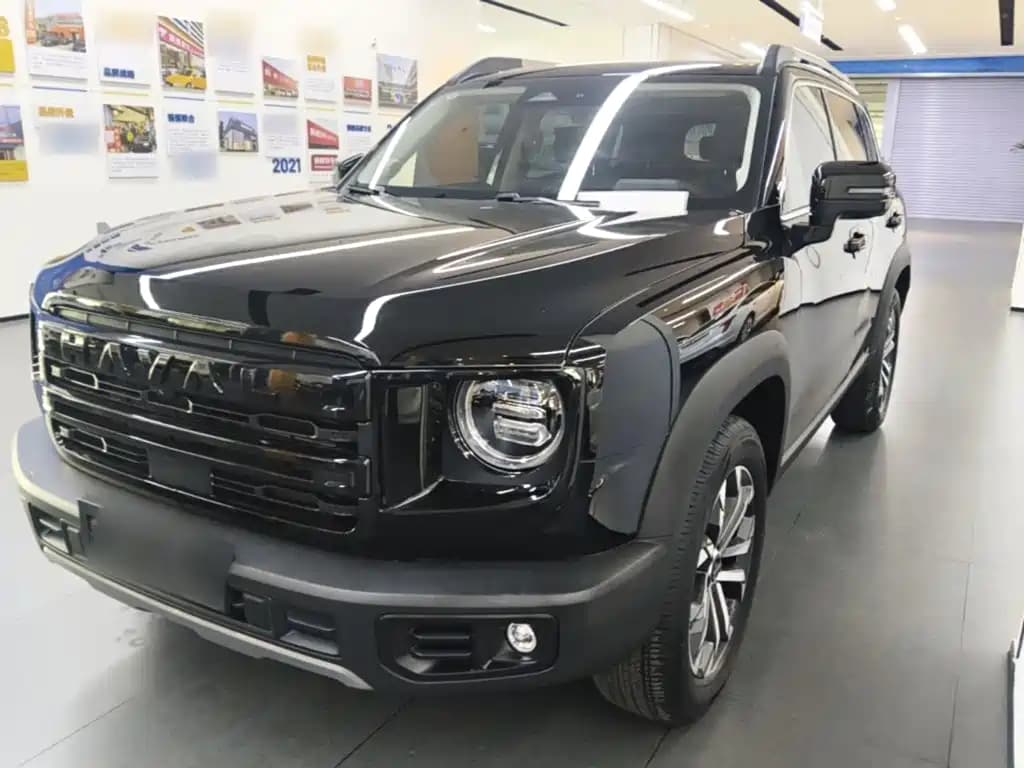 Haval Big Dog 2024 1.5T DCT Border Collie Edition