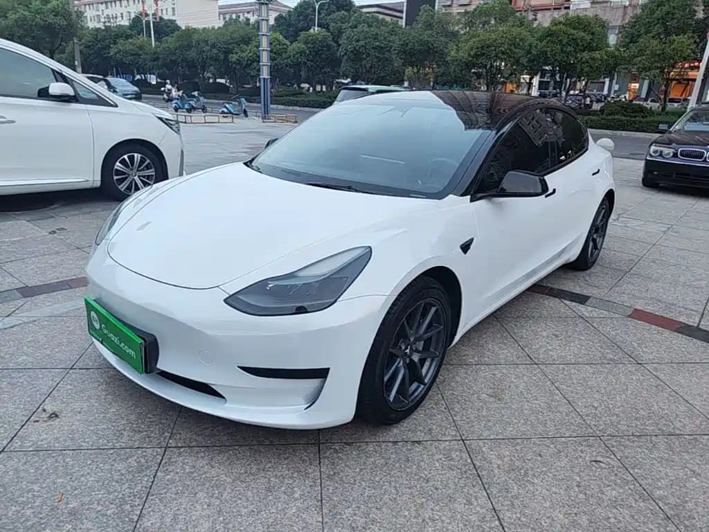 Tesla Model 3 2021 Standard Range Rear-Wheel Drive Upgrade 3D6