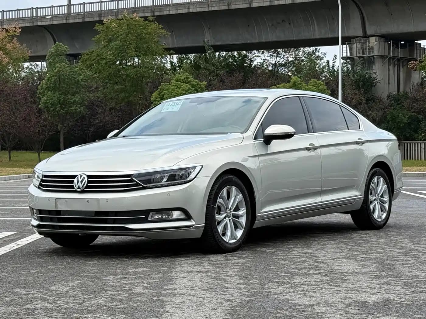 Volkswagen Passat Magotan 2019 330TSI DSG Luxury Class China VI