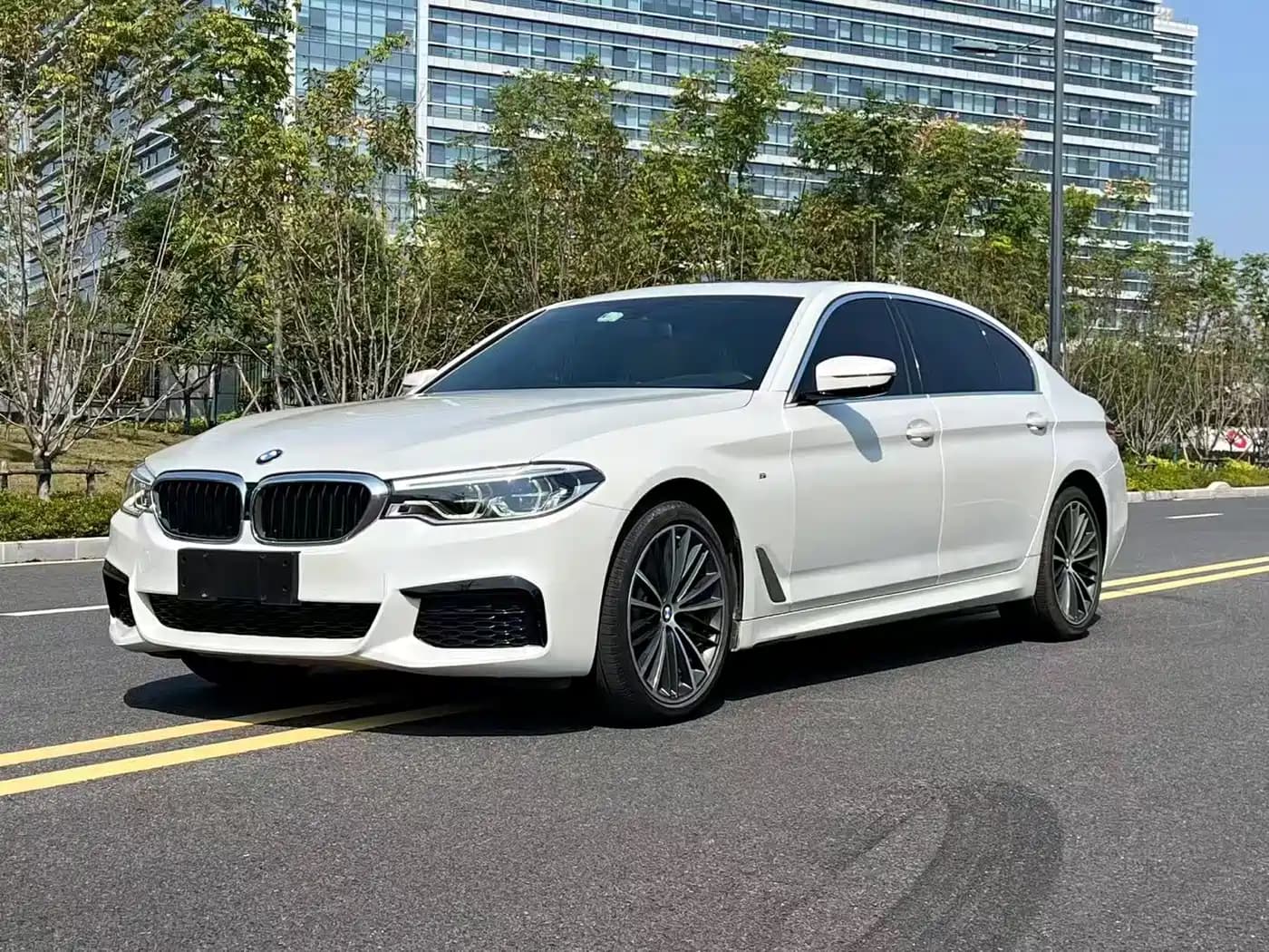 BMW 5 Series 2020 530Li Exclusive M Sport Package