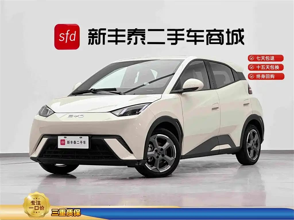BYD Seagull 2024 Glory Edition 305km Freedom Edition