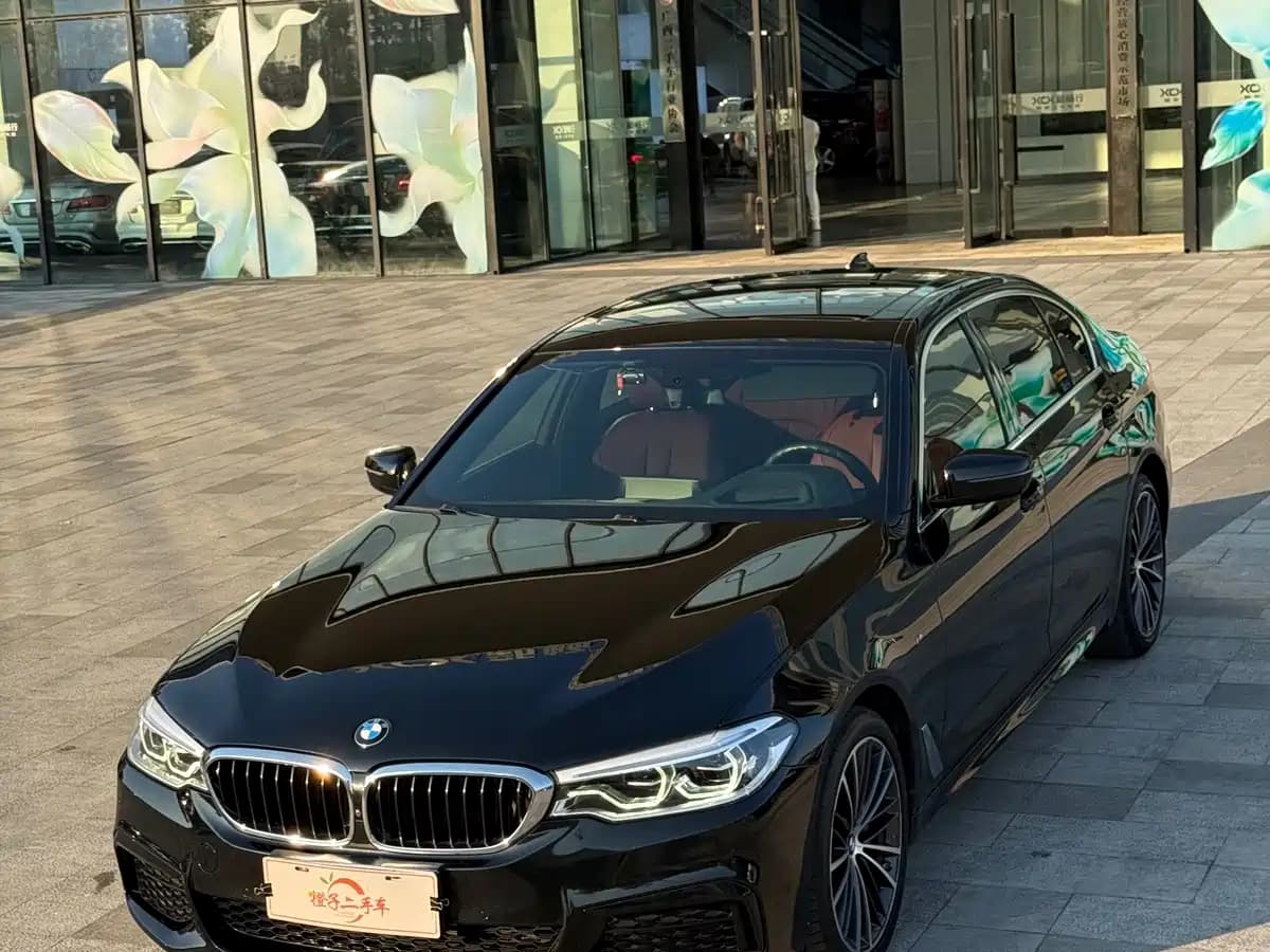 BMW 5 Series 2020 530Li Exclusive M Sport Package