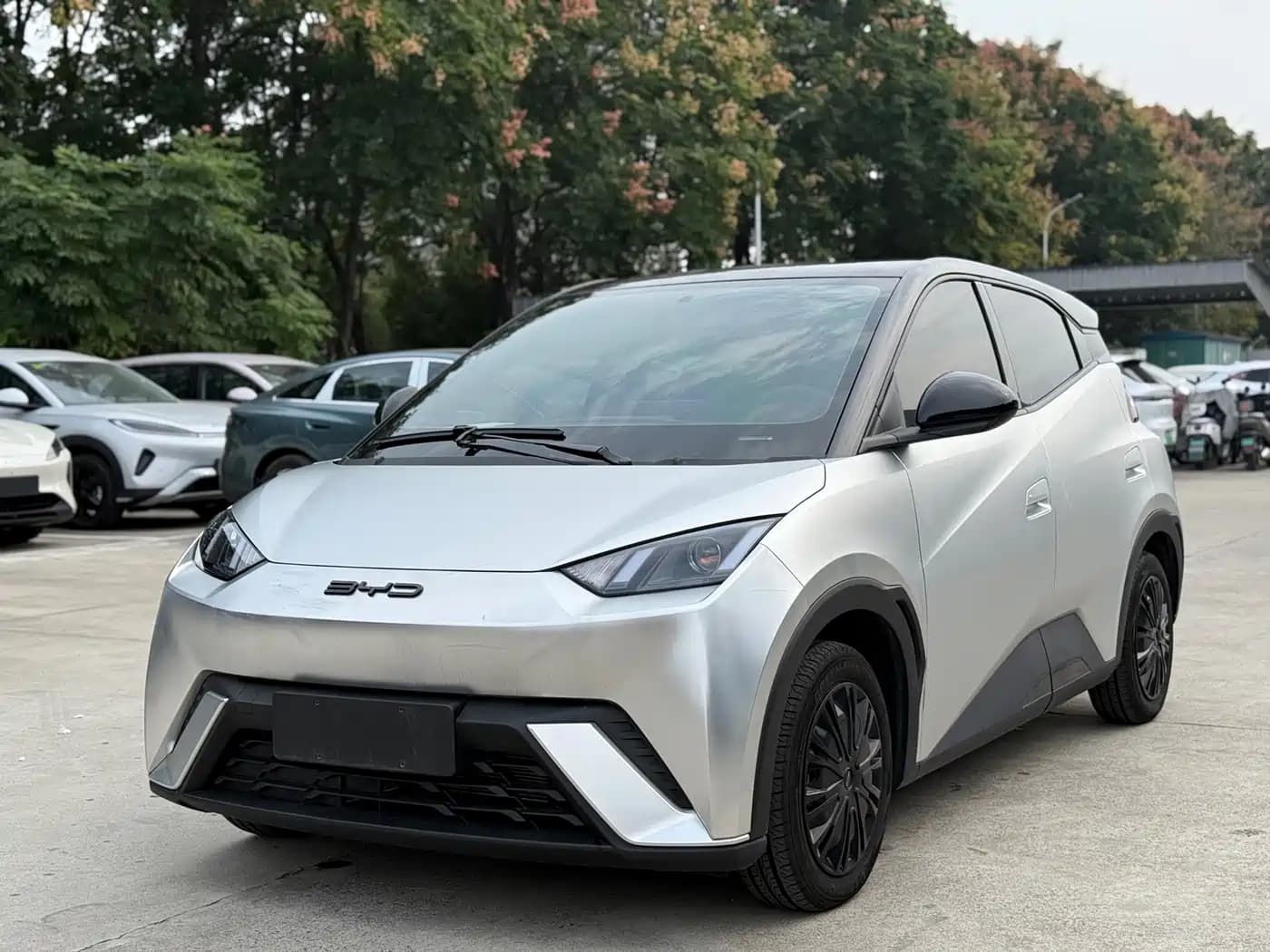 BYD Seagull 2024 Glory Edition 305km Vitality Edition