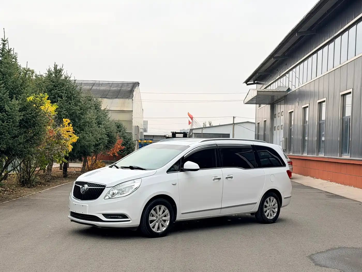 Buick Buick GL8 2018 28T Luxury Model China VI