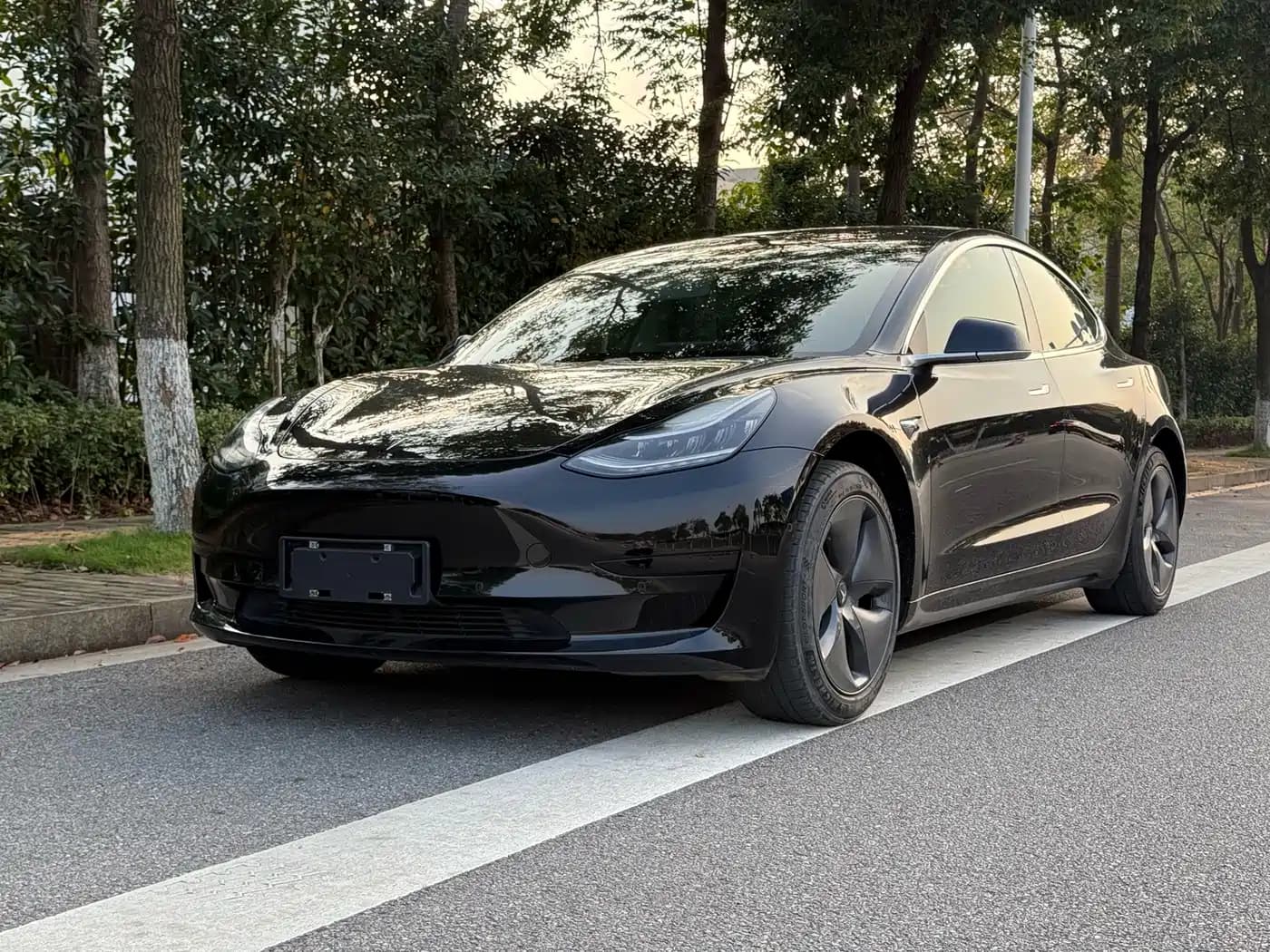 Tesla Model 3 2020 Standard Range Rear-Wheel Drive Upgrade
