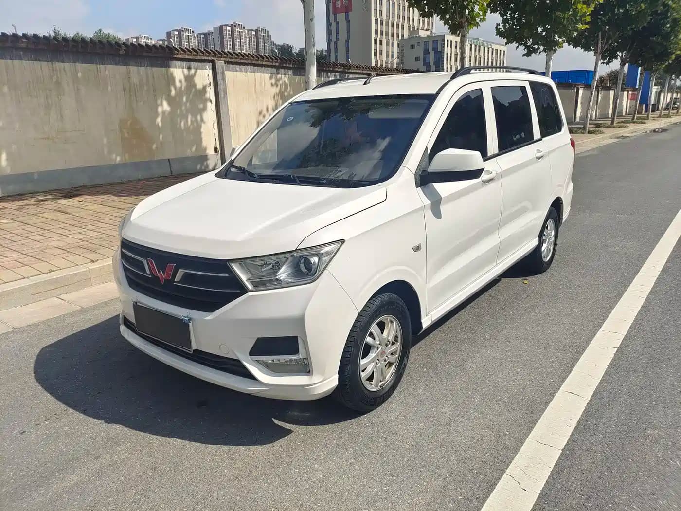 Wuling Motors Hongguang Wuling Hongguang 2019 1.5L S Standard China VI LAR