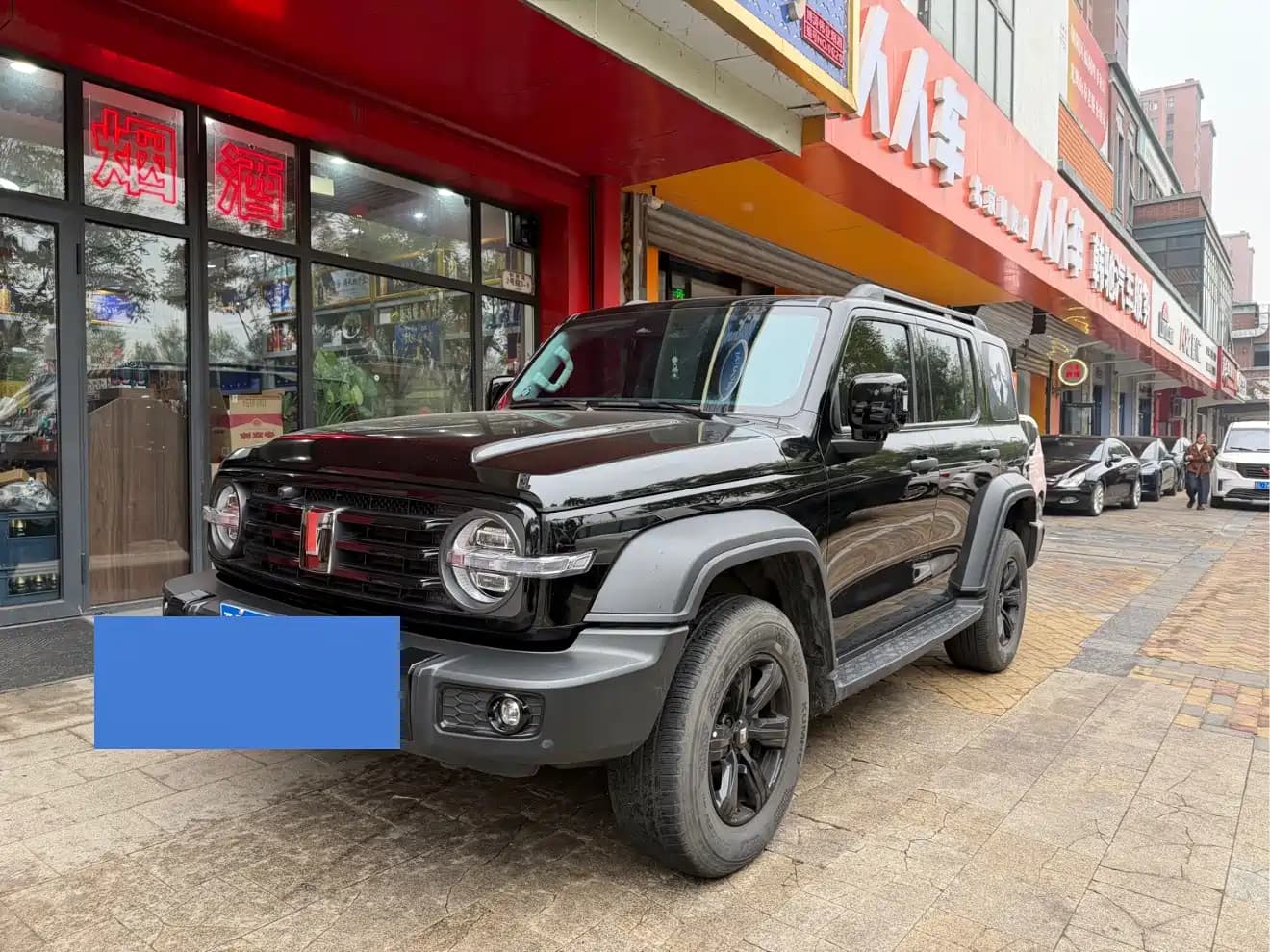 TANK 300 2024 Model 2.0T Challenger