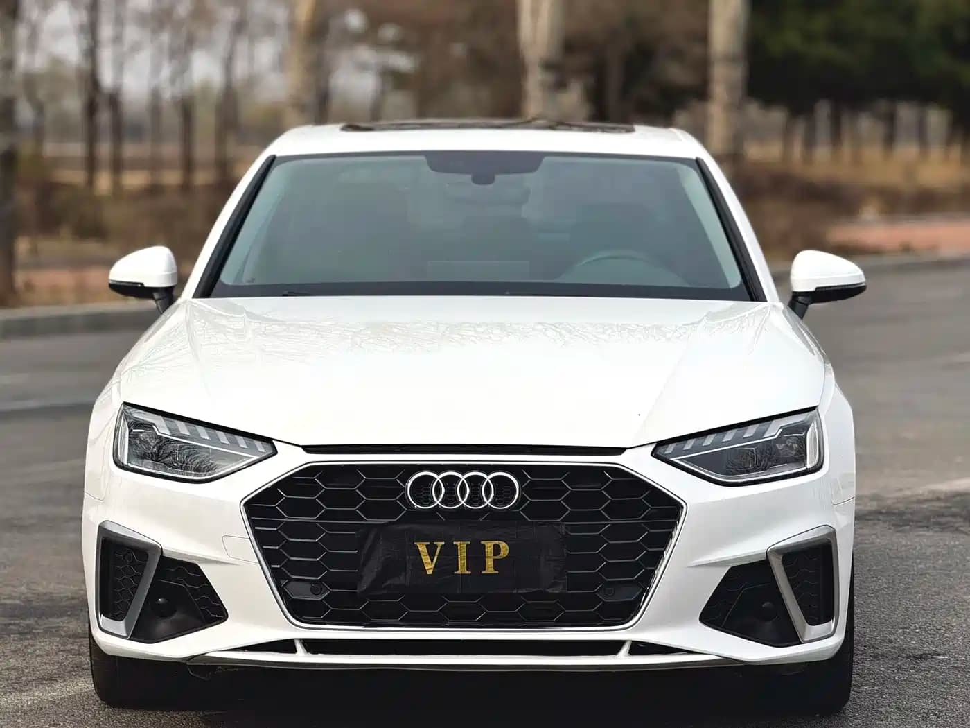 Audi A4L 2024 40 TFSI Fashion Dynamic