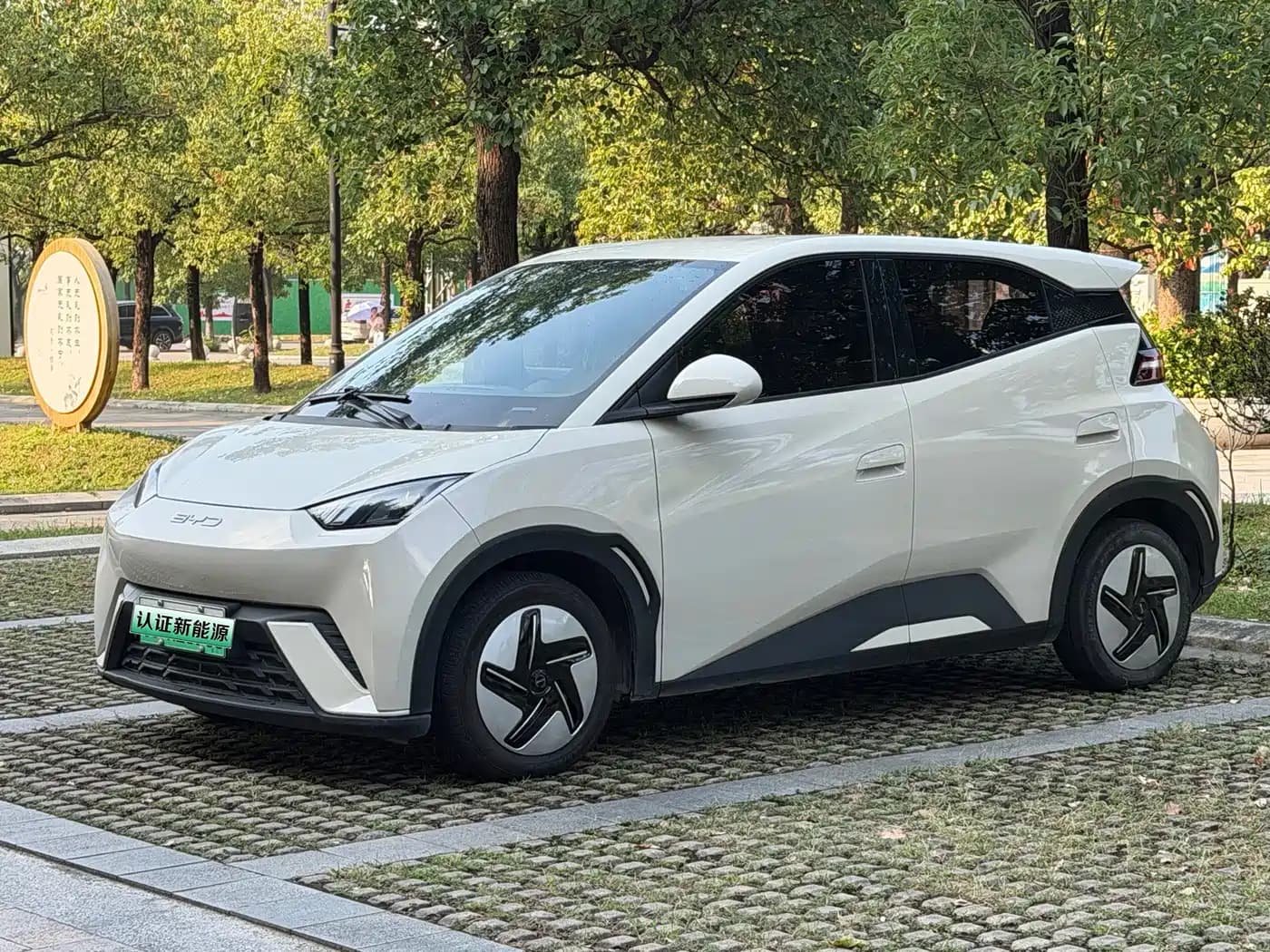 BYD Seagull 2023 Vitality Edition