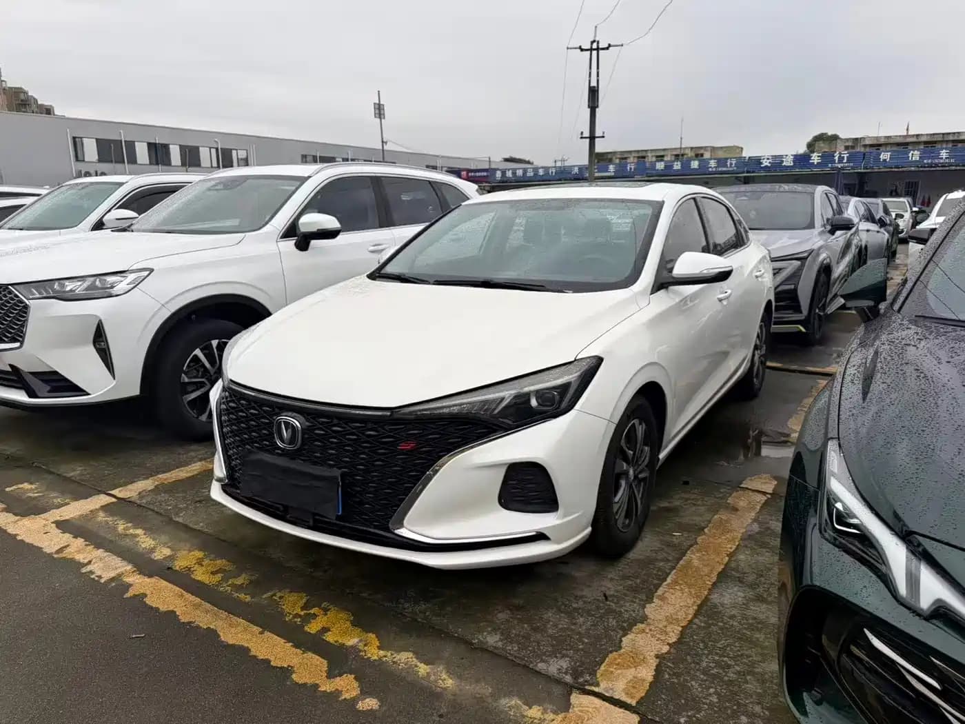 Changan Eado 2020 PLUS Blue Whale NE 1.4T GDI DCT Premium