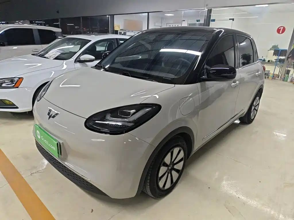 Wuling Motors Binguo Wuling Bingo 2023 Model 333km Telepathic Connect+ Version