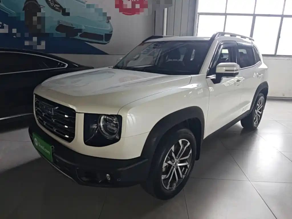 Haval Haval Big Dog 2021 1.5T DCT 2WD Border Collie Edition