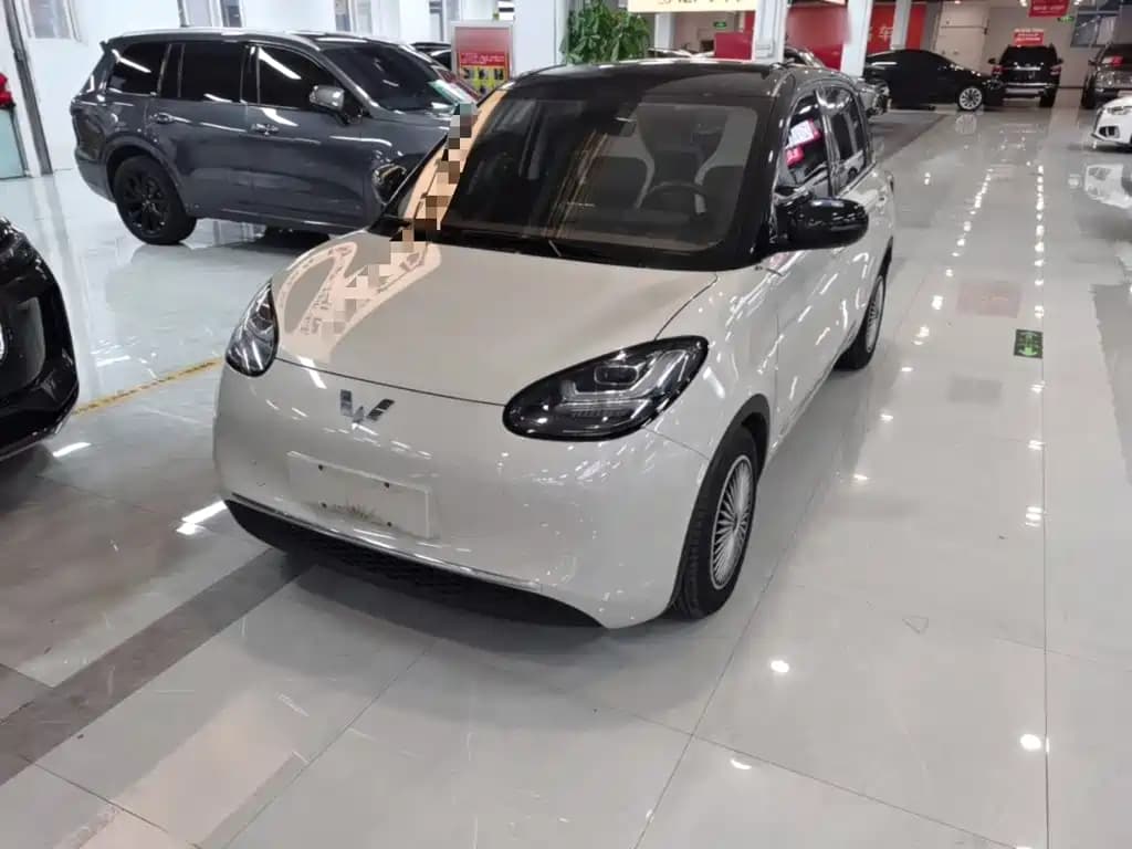 Wuling Motors Binguo Wuling Bingo 2023 203km Comfort Version