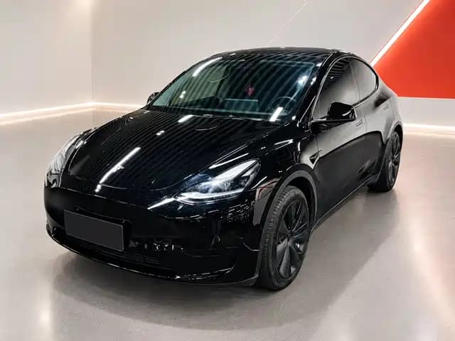 Tesla Model Y 2022 Rear-Wheel Drive Version