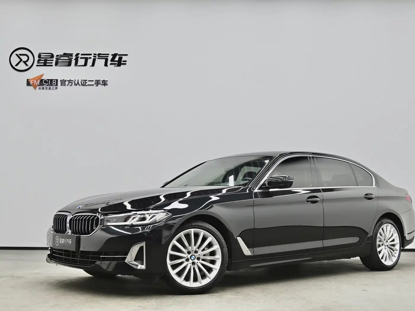 BMW 5 Series 2022 530Li Leading Luxury Package